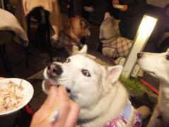 137_20130328225300.jpg