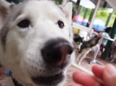 138_20130725214435.jpg