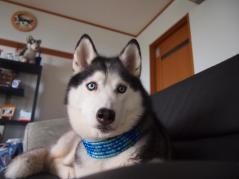 140_20130704223424.jpg