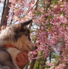 141_20130520222946.jpg