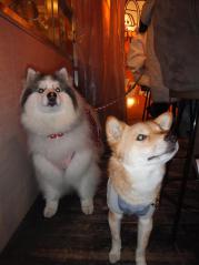 143_20130328225259.jpg