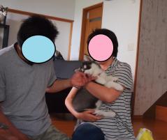 161_20130706001147.jpg