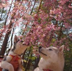 164_20130520223147.jpg