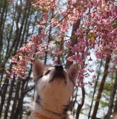 170_20130520223146.jpg