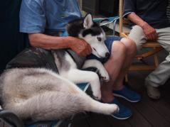 170_20130706001145.jpg