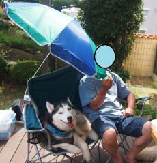 176_20130706001238.jpg