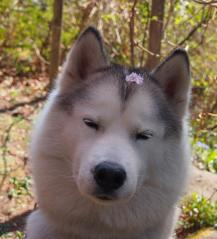 179_20130520223146.jpg