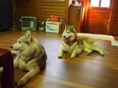 181_20130313215242.jpg
