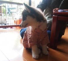 183_20130706001237.jpg