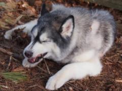 186_20130519231403.jpg