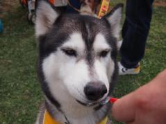 191_20130518001729.jpg