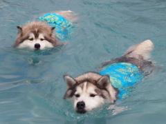 193_20130620221751.jpg