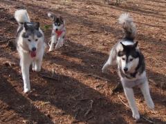 194_20130519231402.jpg