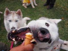 195_20130518001729.jpg
