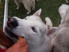 197_20130518001728.jpg