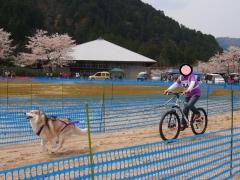 200_20130424223309.jpg