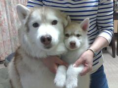 2013052819080003.jpg