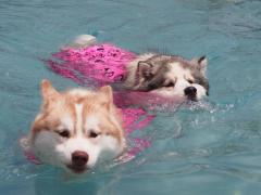 203_20130620221749.jpg