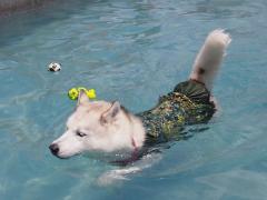 213_20130620222052.jpg