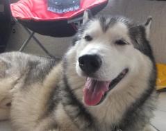 213_20130627231713.jpg