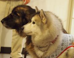 226_20130313220824.jpg