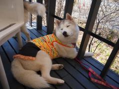 226_20130520225816.jpg
