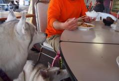 239_20130520225958.jpg