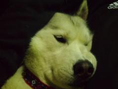 241_20130313220824.jpg