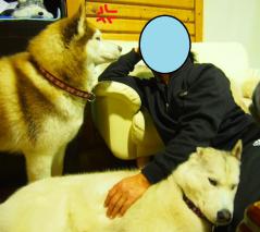 243_20130313220823.jpg
