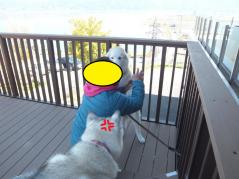 261_20130512210440.jpg