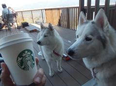 262_20130512210439.jpg