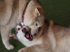 297_20130316223707.jpg
