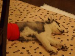 311_20130519170957.jpg