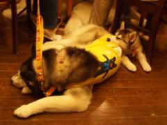 314_20130519170956.jpg