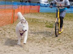 344_20130425215847.jpg