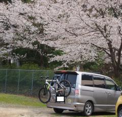 416_20130425215946.jpg