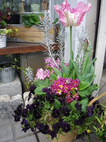 IMGP8411.jpg