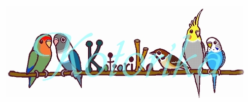 kotorika-e.jpg