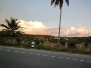 s-DSC02303.jpg