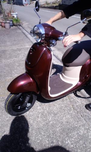 20120314155412495.jpg