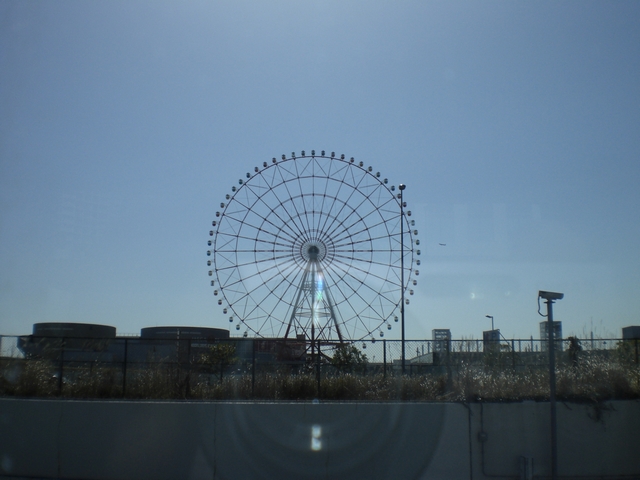 CIMG9559.jpg