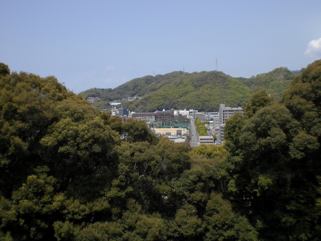 CIMG9661.jpg