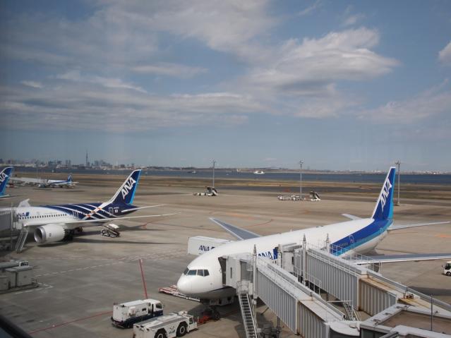P3190098.jpg