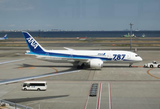 P3190100.jpg
