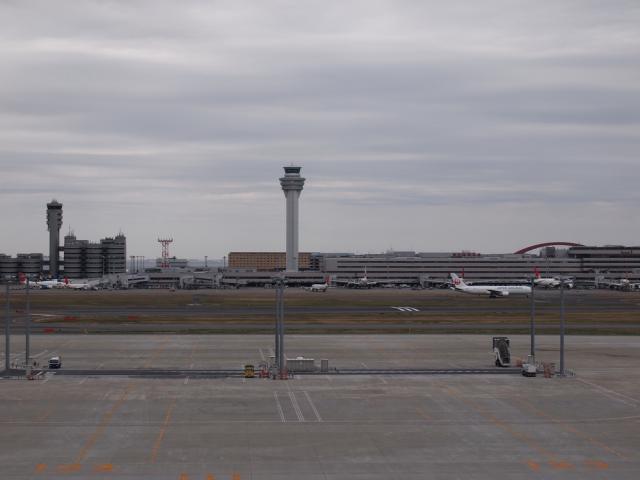 P3190110_20120411182037.jpg