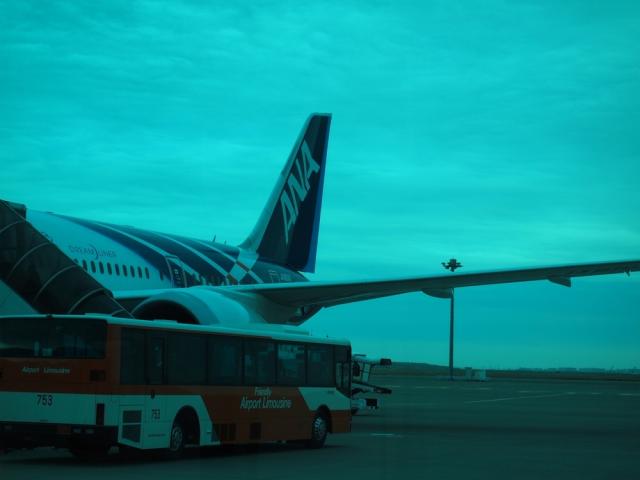 P3190130.jpg