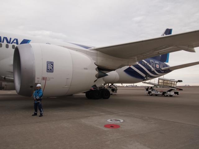 P3190132.jpg