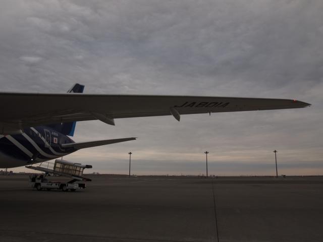 P3190134.jpg