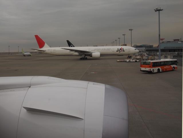 P3190147.jpg