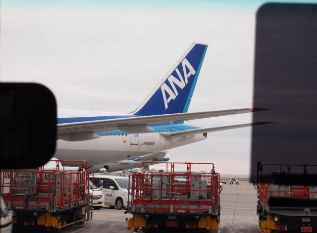 aP3190127.jpg